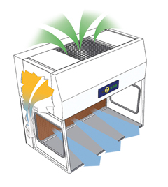 Horizontal Laminar Air Flow