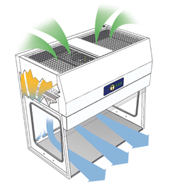 Vertical Laminar Air Flow